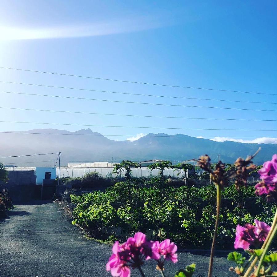 Los Conejos Santa Cruz de Tenerife Eksteriør bilde